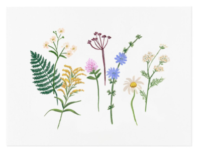 Wildflowers Art Print - Rifle Paper Co.