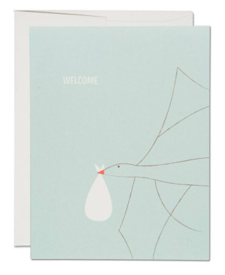 Baby Delivery Card - BLA1018