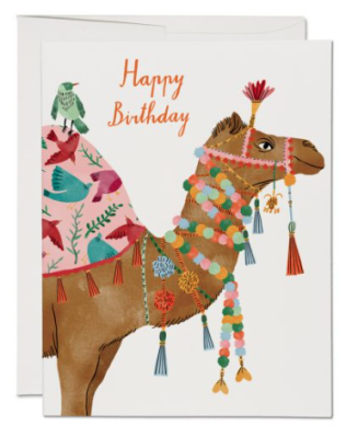 Camel Card - Red Cap Cards