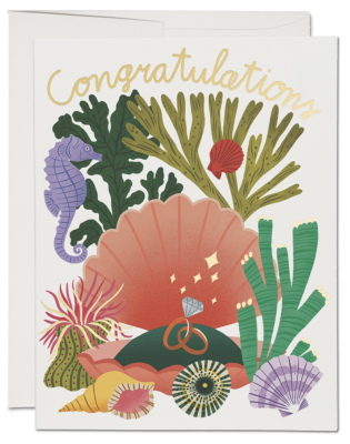 Clam Shell Congrats Card - BOD2194