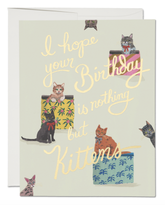 Nothing But Kittens Card - KRL2169